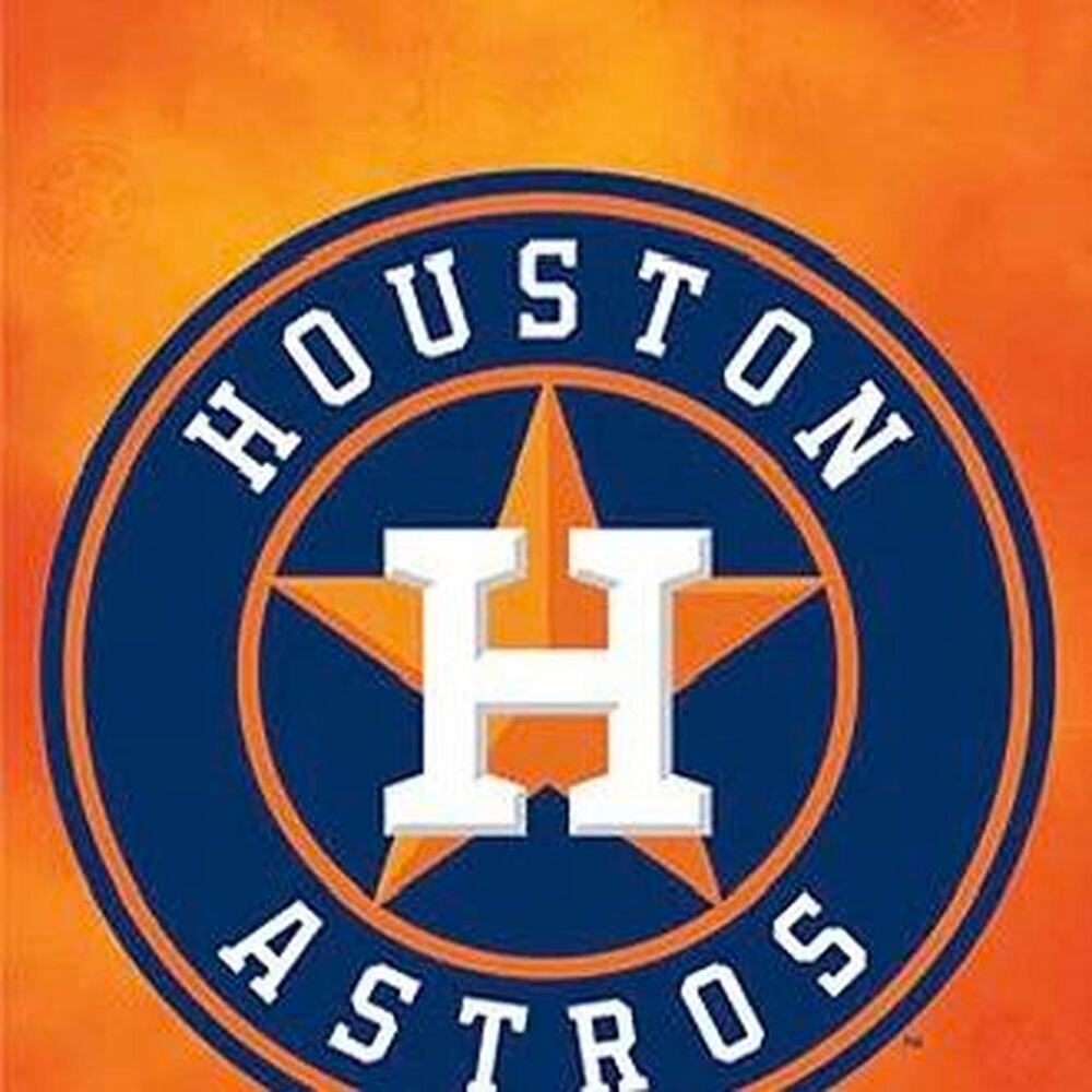 NWT Houston Astros Large Socks MLB